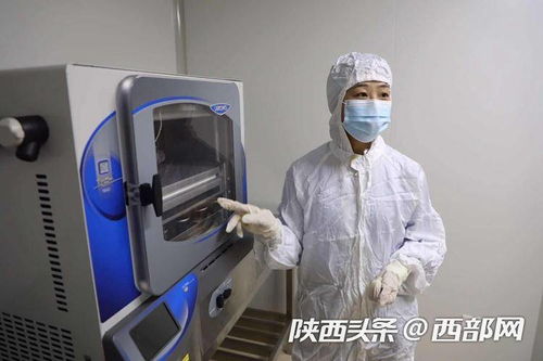 行走自贸区 跨国诊疗与共享实验室推动现代医疗效率革命